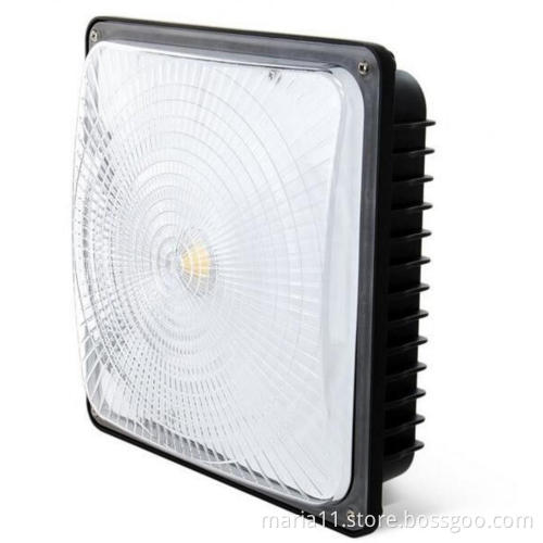 LED Canopy Light Fixture
